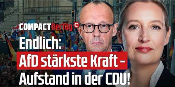 Bild zum Beitrag