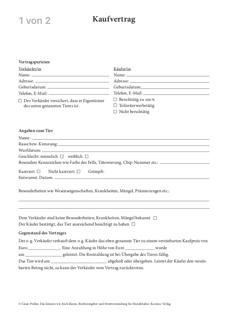 wann gehort der hund mir recht tiere haustiere