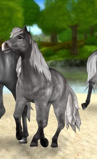 Grau - (star-stable, Epona)