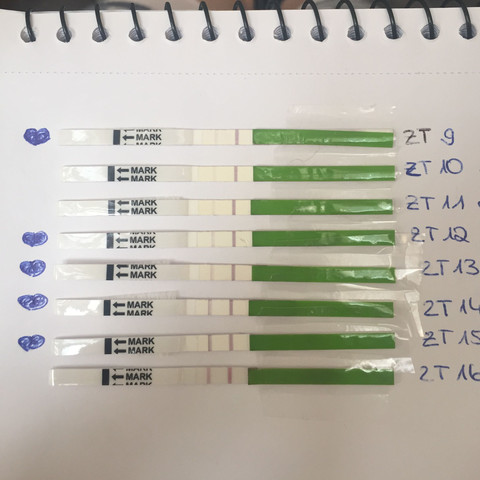 Wann Genau War Mein Eisprung Sex Schwangerschaft Schwanger Wann Genau War Mein Eisprung Sex Schwangerschaft Schwanger