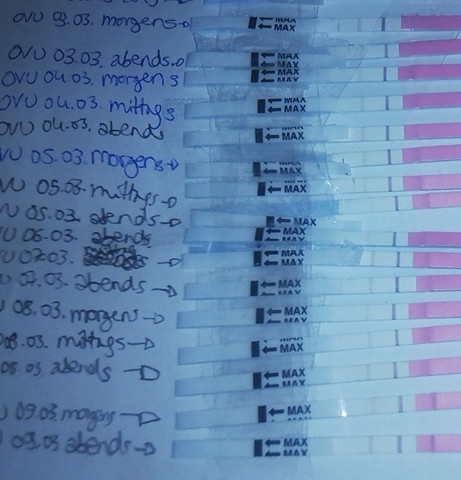Wann hatte ich meinen Eisprung? (ovulationstest) 1 woche nach eisprung testen