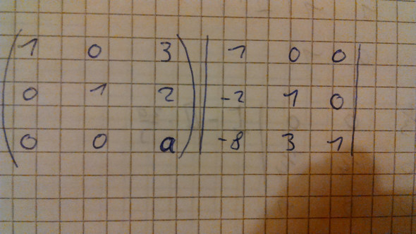 Wann ist die Matrix mit dem Parameter a invertierbar? (Mathematik, Gauß)