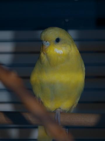 Wann ist eine beziehung am ende Wann ist eine beziehung am ende