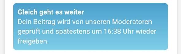 Bild zum Beitrag