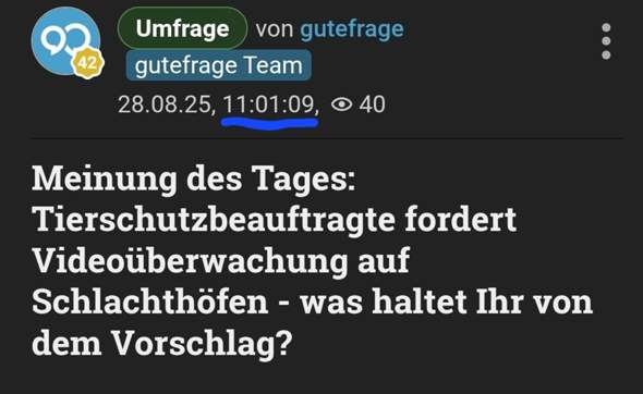 Bild zum Beitrag