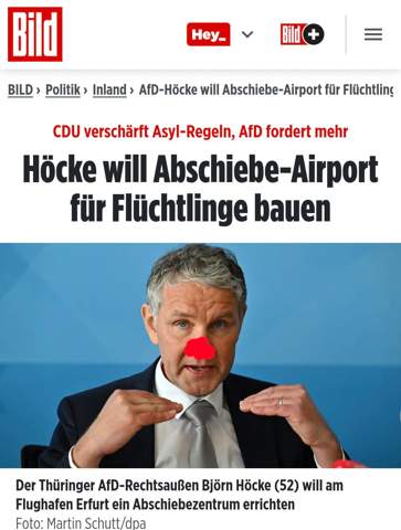 Bild zum Beitrag