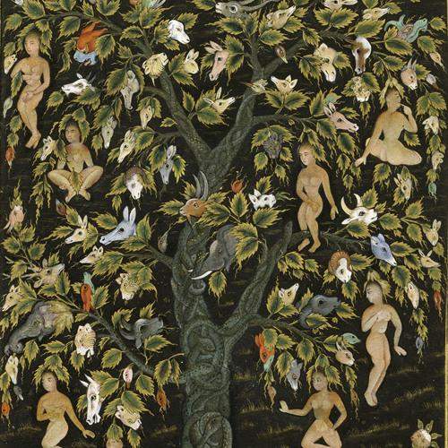 waq waq Insel und waq waq Baum? (Geschichte, Islam, Philosophie)