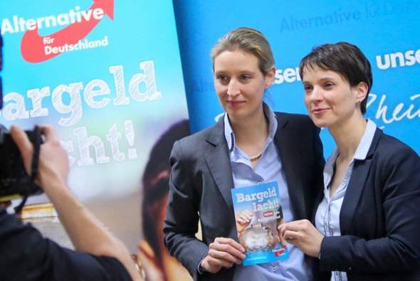 Bild zum Beitrag