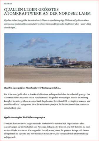 Bild zum Beitrag