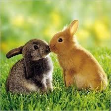 Erster kuss gute frage Erster kuss gute frage