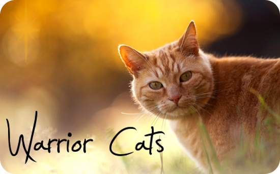 Warrior Cats - (Warrior Cats, Warrior Cats Clans)