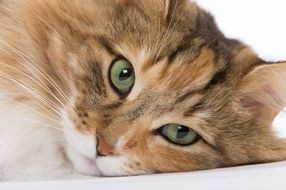 Gute namen für instagram Gute namen für instagram