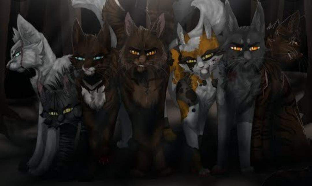 warrior-cats-namen-f-r-b-se-streuner