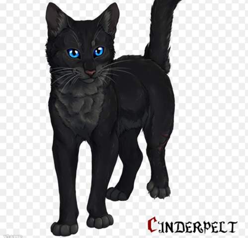 - (Warrior Cats, königin)