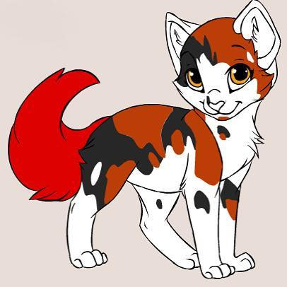 Warrior Cats: Rotschweifs Name unmöglich? (Buch, Katzen, Fehler)