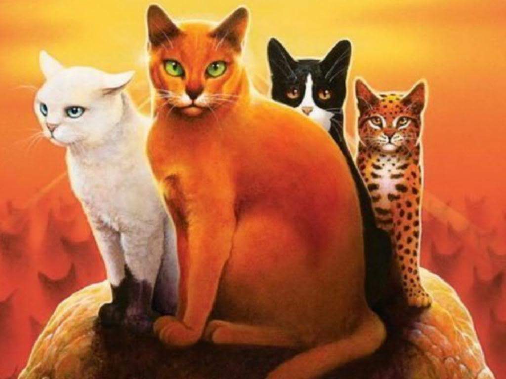 Wann Kommt Der Warrior Cats Film Raus
