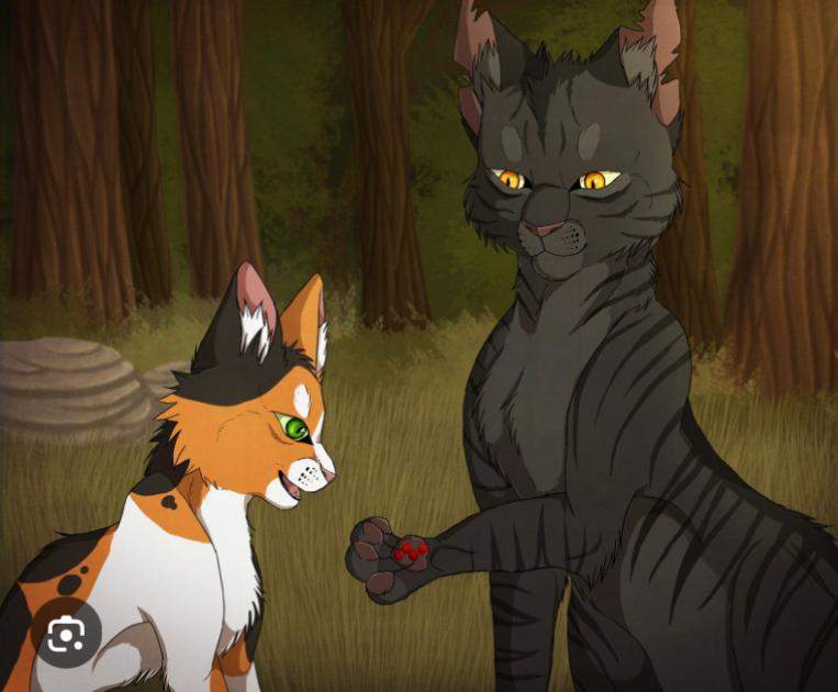 Warrior Cats: Was passiert, wenn man eine Todesbeere isst? (Buchreihe)