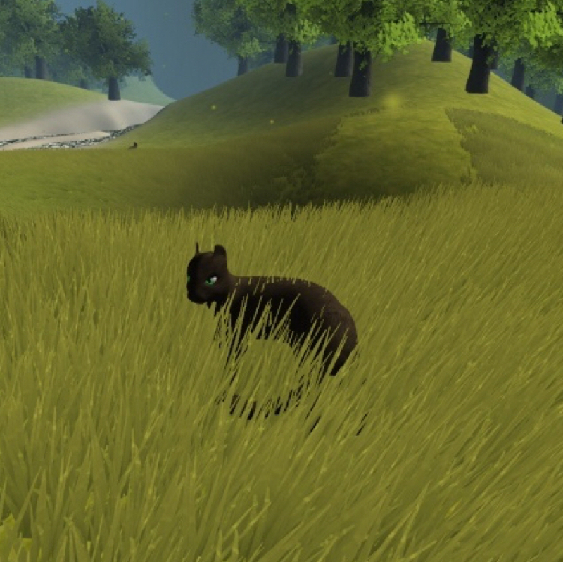 warrior cats spiele kostenlos warrior cats spiele kostenlos