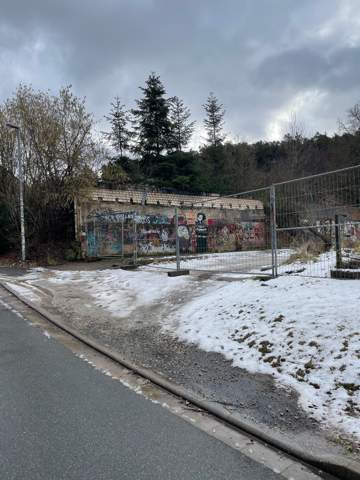 Bild zum Beitrag