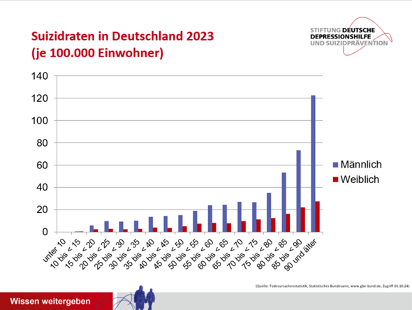 Bild zum Beitrag