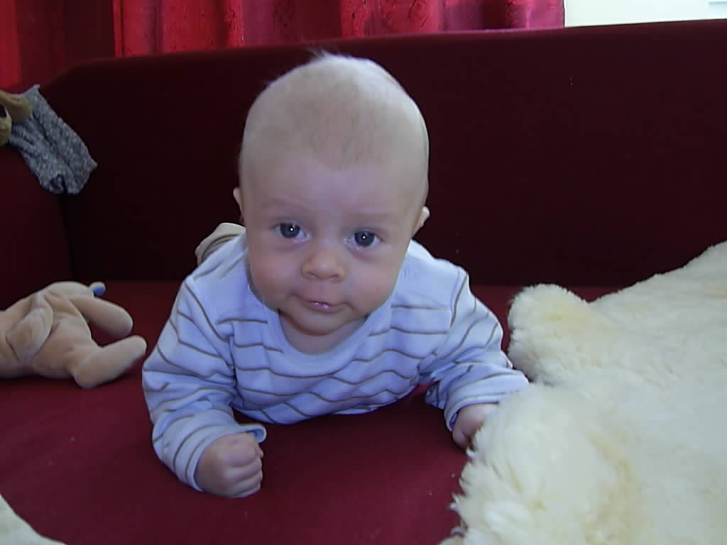 Warum bekommt ein schwarzes Paar ein weißes baby?! O.o. (weiß)