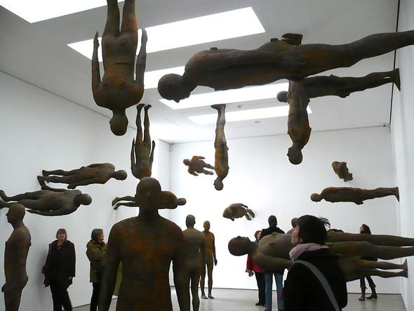 free bird dk eyewitness books 2008 free bird dk eyewitness books