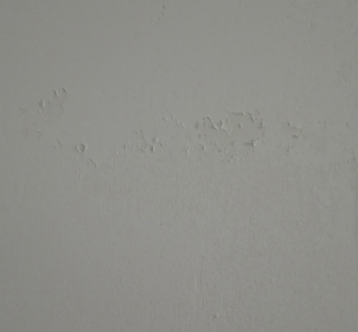 Warum Blattert Die Farbe Oder Spachtelmasse Nach Dem Ausmalen Ab Bild Im Anhang Wand Maler Heimwerker