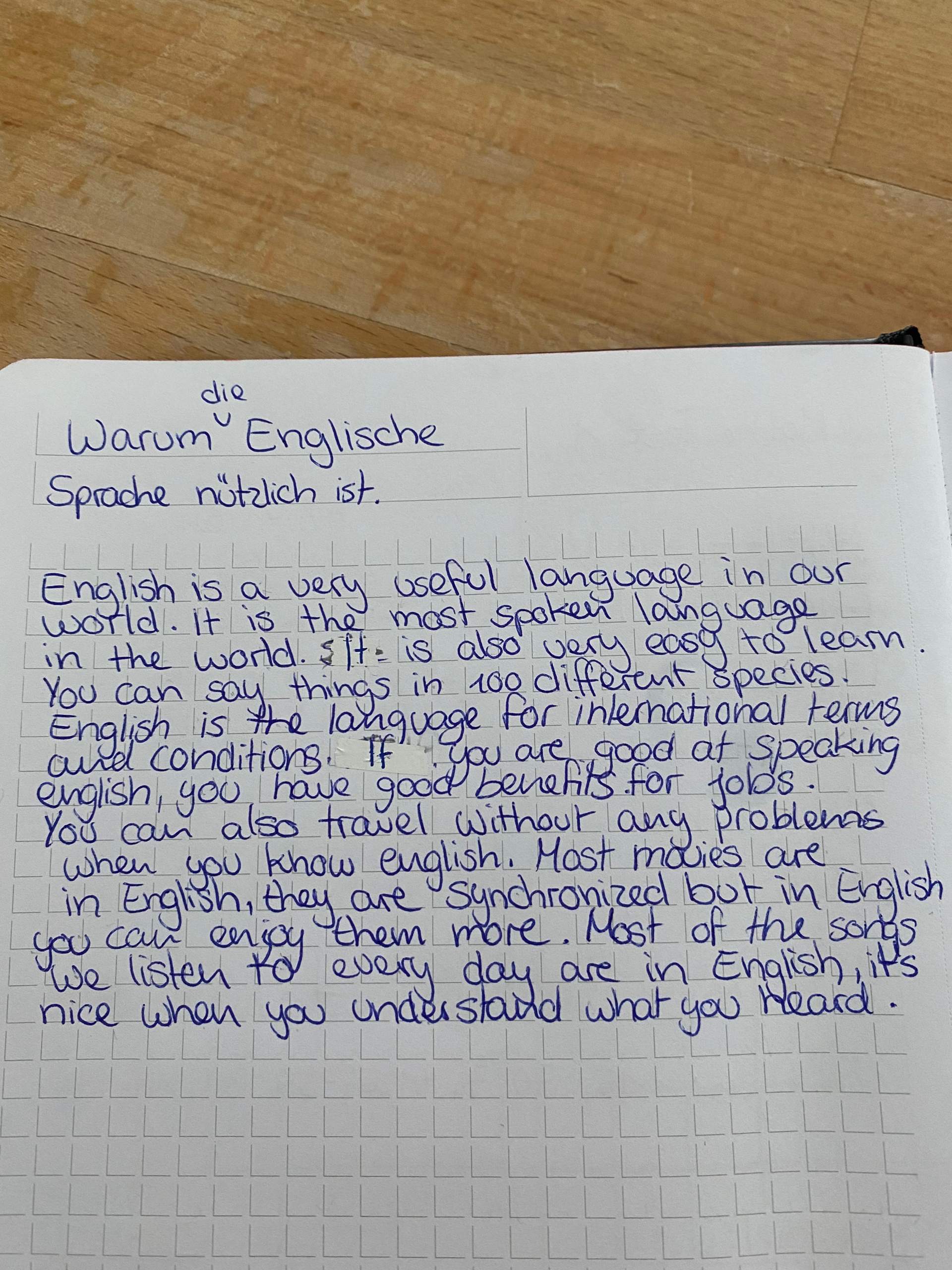 Warum die Englische Sprache nützlich ist (100 Wörter)? (Schule, Englisch, Lernen)