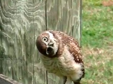 Was will ich in einer beziehung Was will ich in einer beziehung