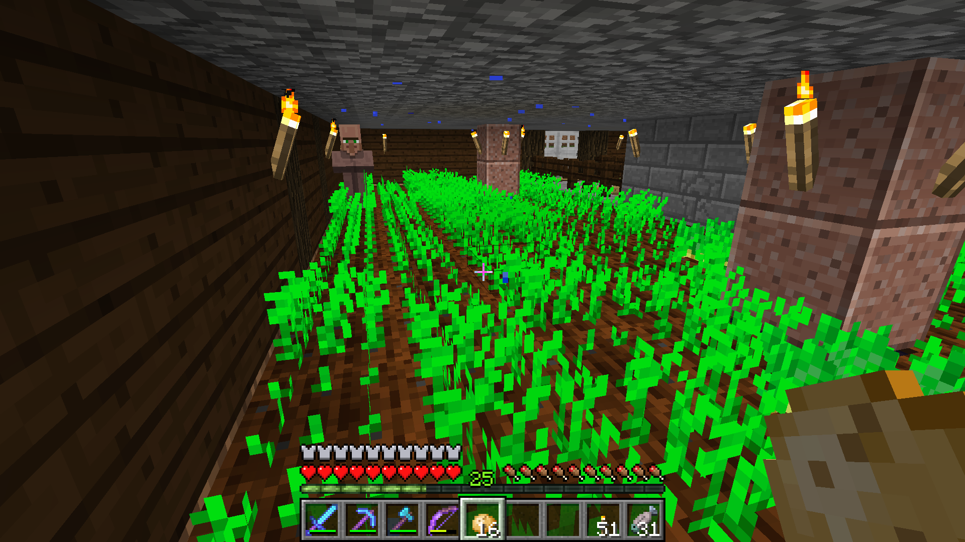 Warum erntet und pflanzt mein Dorfbewohner keine Kartoffeln? (Minecraft