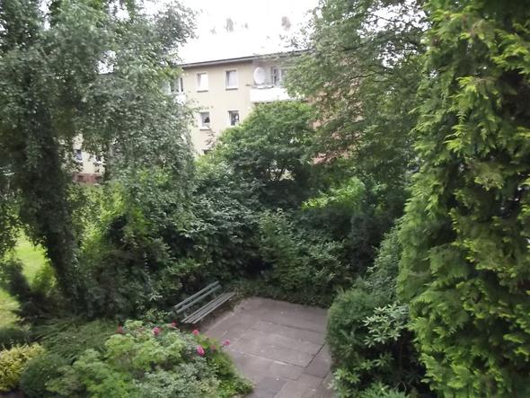 Warum Fotografiert Meine Kamera Baume Unscharf Bilder Foto Fotografie