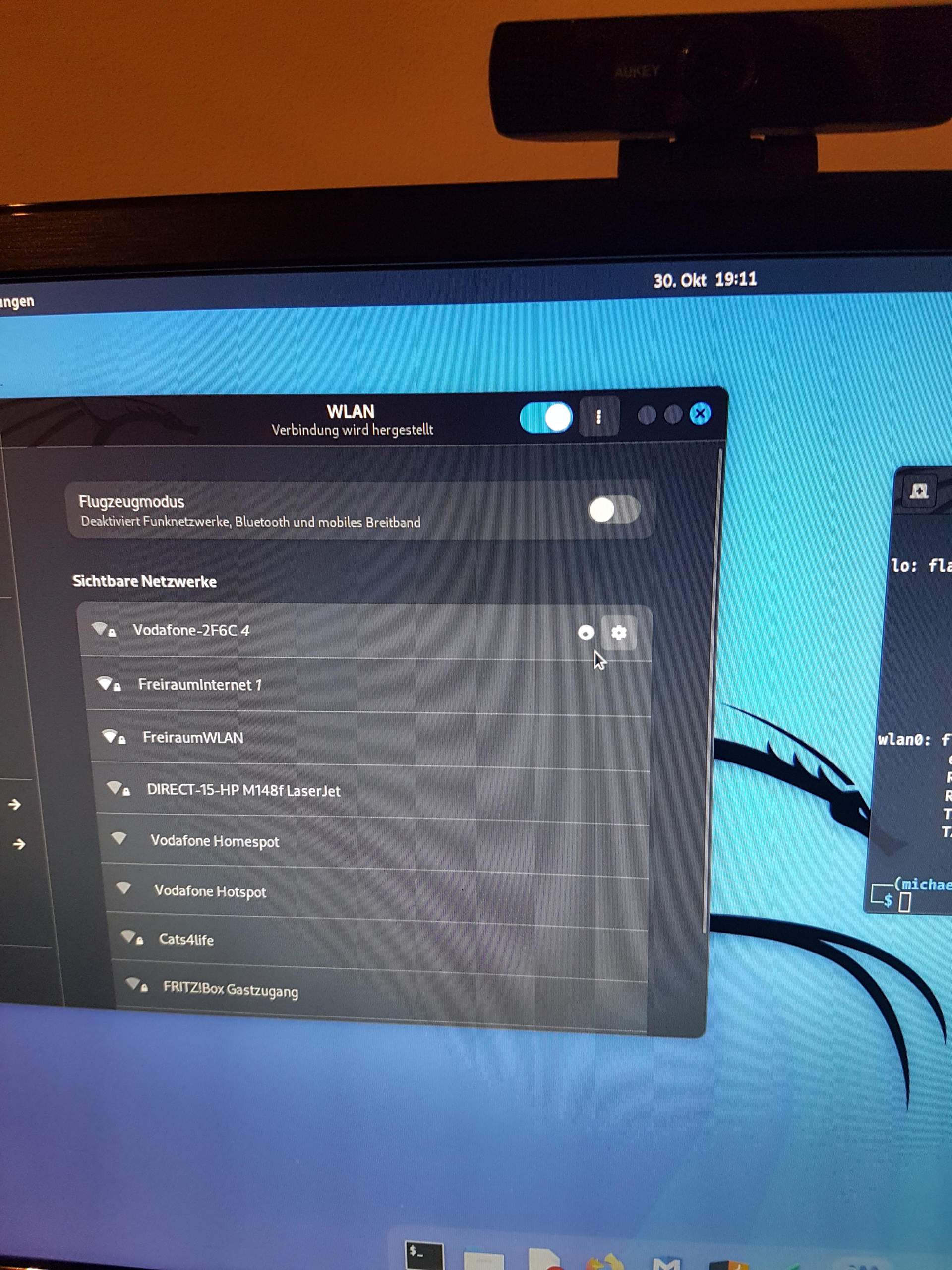 Warum funktioniert mein wlan nicht (KALI LINUX)? (Verbindungsprobleme)