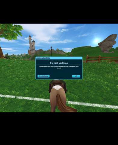 Warum funktioniert Star stable nicht? (Pferdespiel)