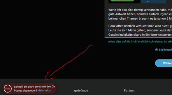 Bild zum Beitrag
