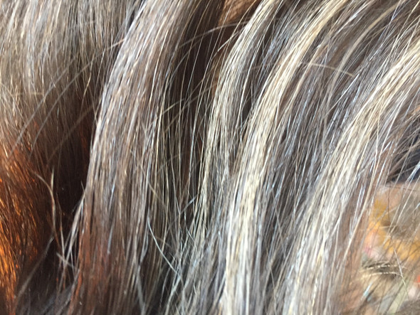 Haare strähnen schwarze mit weißen Verschiedene Beispiele