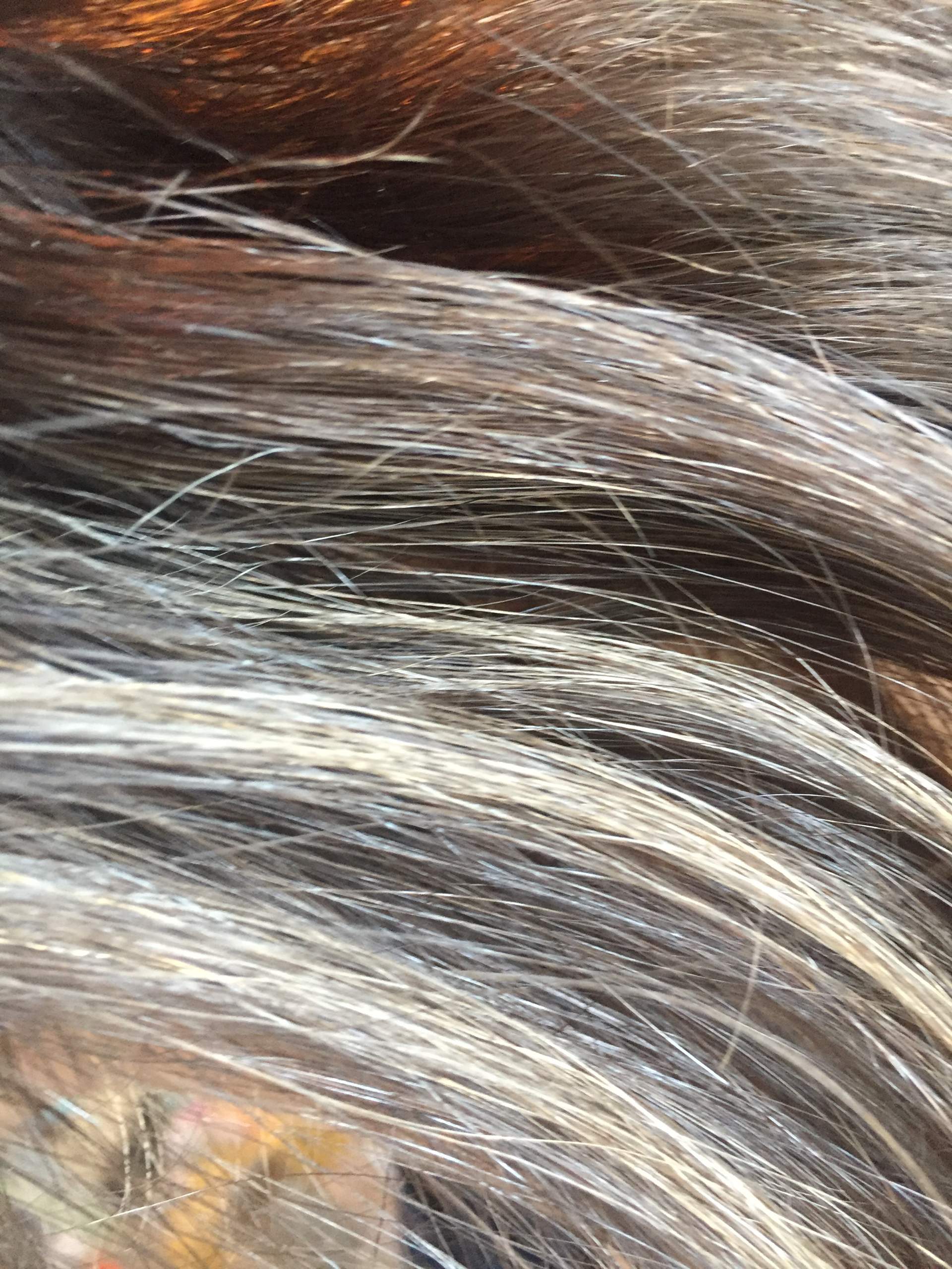 Warum hab ich weiße Haarsträhnen? (Gesundheit, Haare, strähnen)