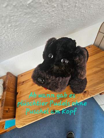 Bild zum Beitrag