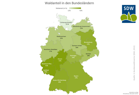 Warum hat Schleswig-Holstein den niedrigsten Waldanteil?