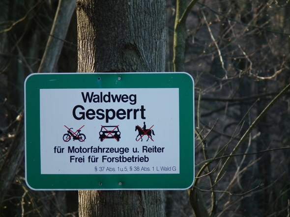 Ist Reiten im Wald erlaubt?