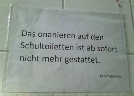 Bild zum Beitrag