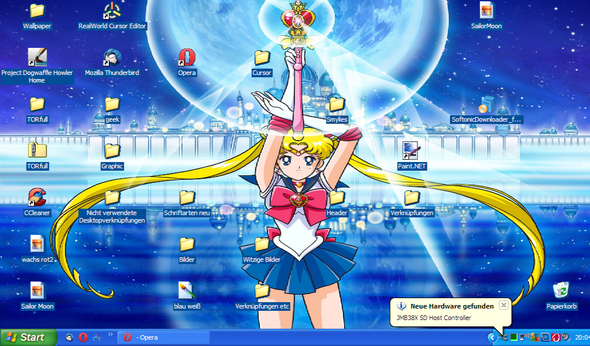 Der Screenshot - (Computer, Windows XP)