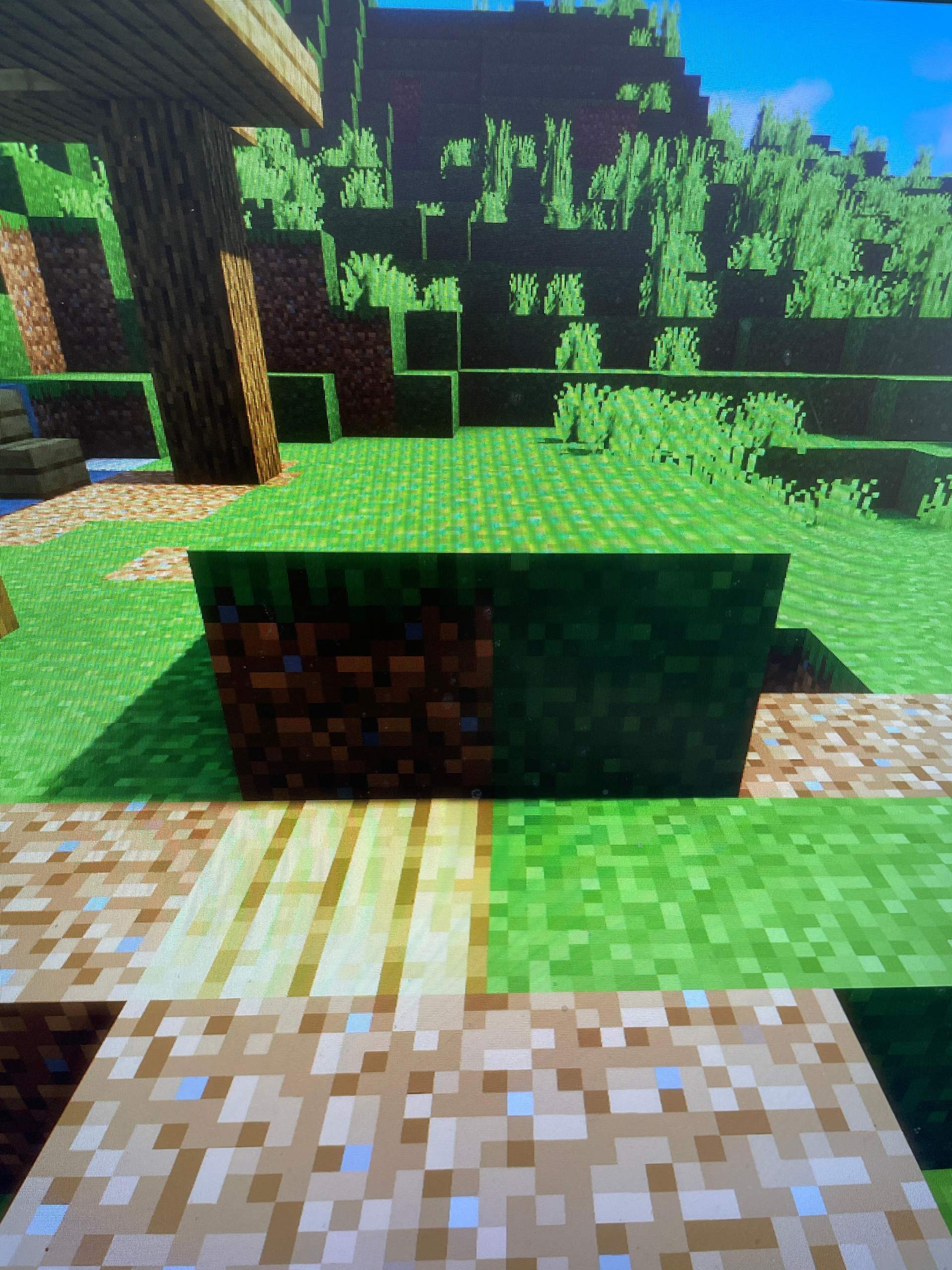 Warum ist der Grasblock an der Seite Grün? (Minecraft)