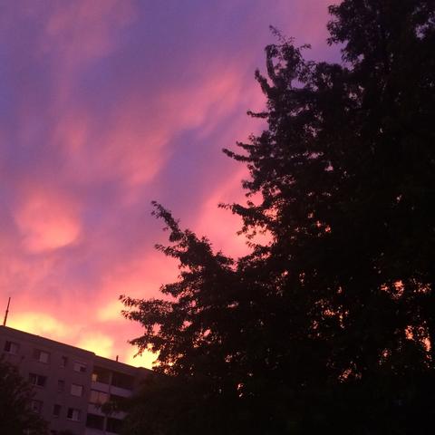 Warum Ist Der Himmel So Rosa Bild