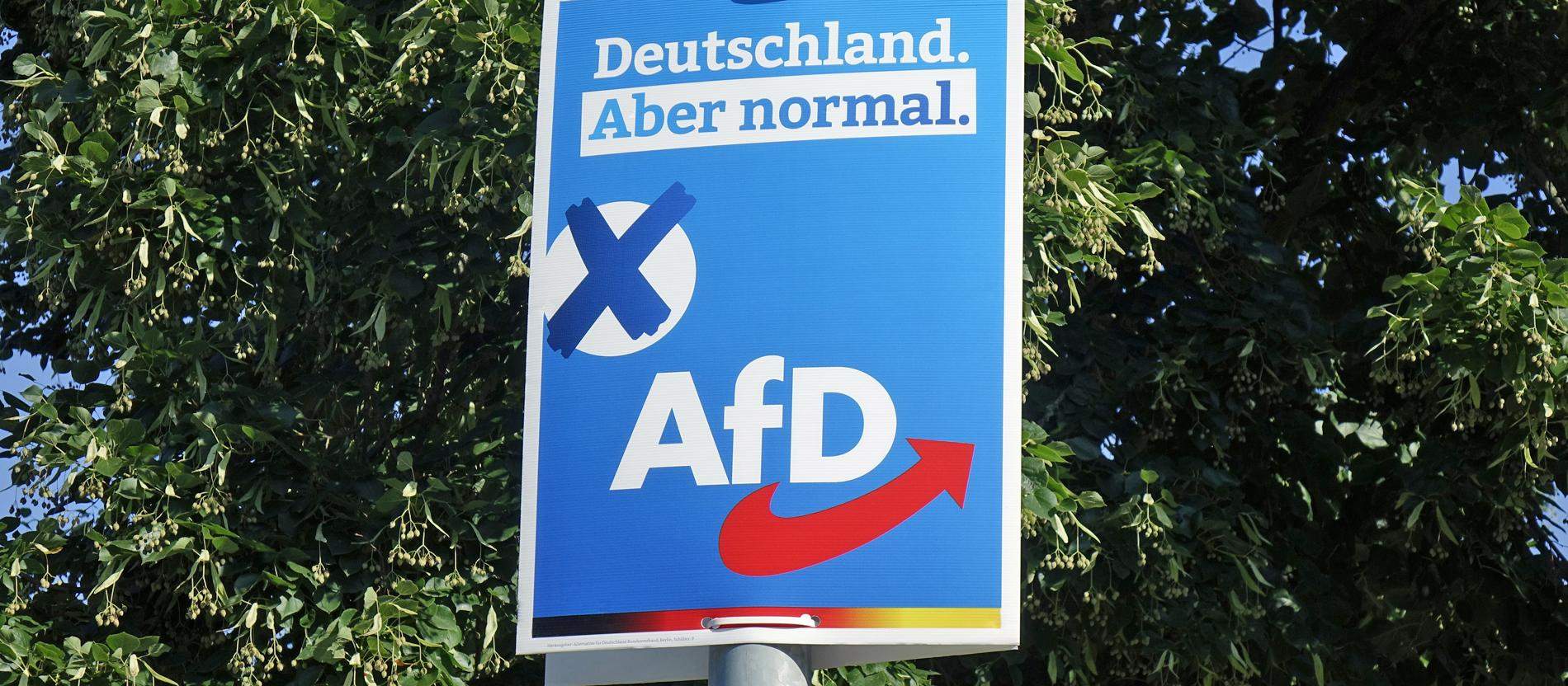 Warum ist die AfD so stark und die Grünen, SPD so schwach? (Wahlen ...