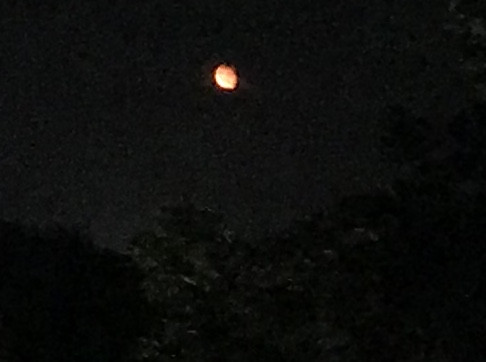 - (Astronomie, Mond, blutmond)