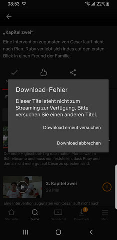 Warum kann ich nicht bei netflix downloaden? (Computer ...