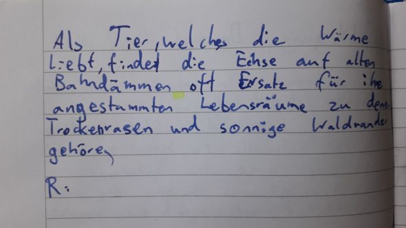 Warum Kommt An Der Grun Markierten Stelle Kein Komma Hin Schule