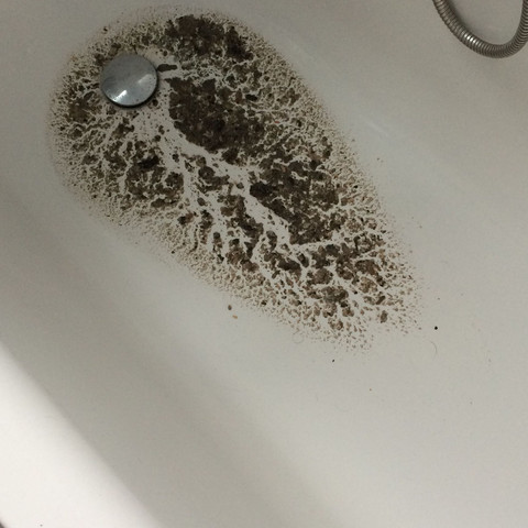 Warum Kommt Komische Flussigkeit Aus Abfluss Geruch Stinken Badewanne