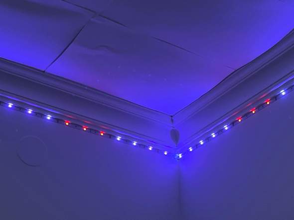 Warum leuchten meine LEDS überall so komisch?