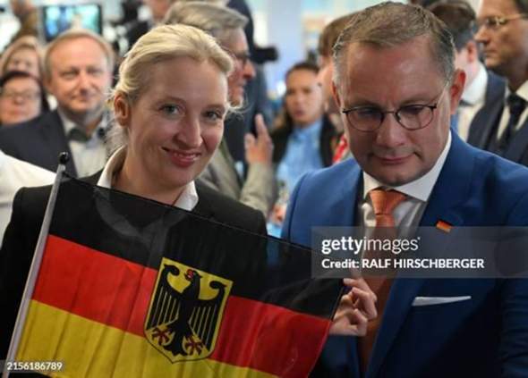 Bild zum Beitrag
